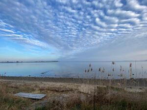 Read more about the article Autumn: Nature’s Grand Serenade on the Baltic Sea Coast of Stove