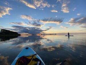 Read more about the article Serenade of the Seasons: Stand-Up Paddling on the Baltic Sea!